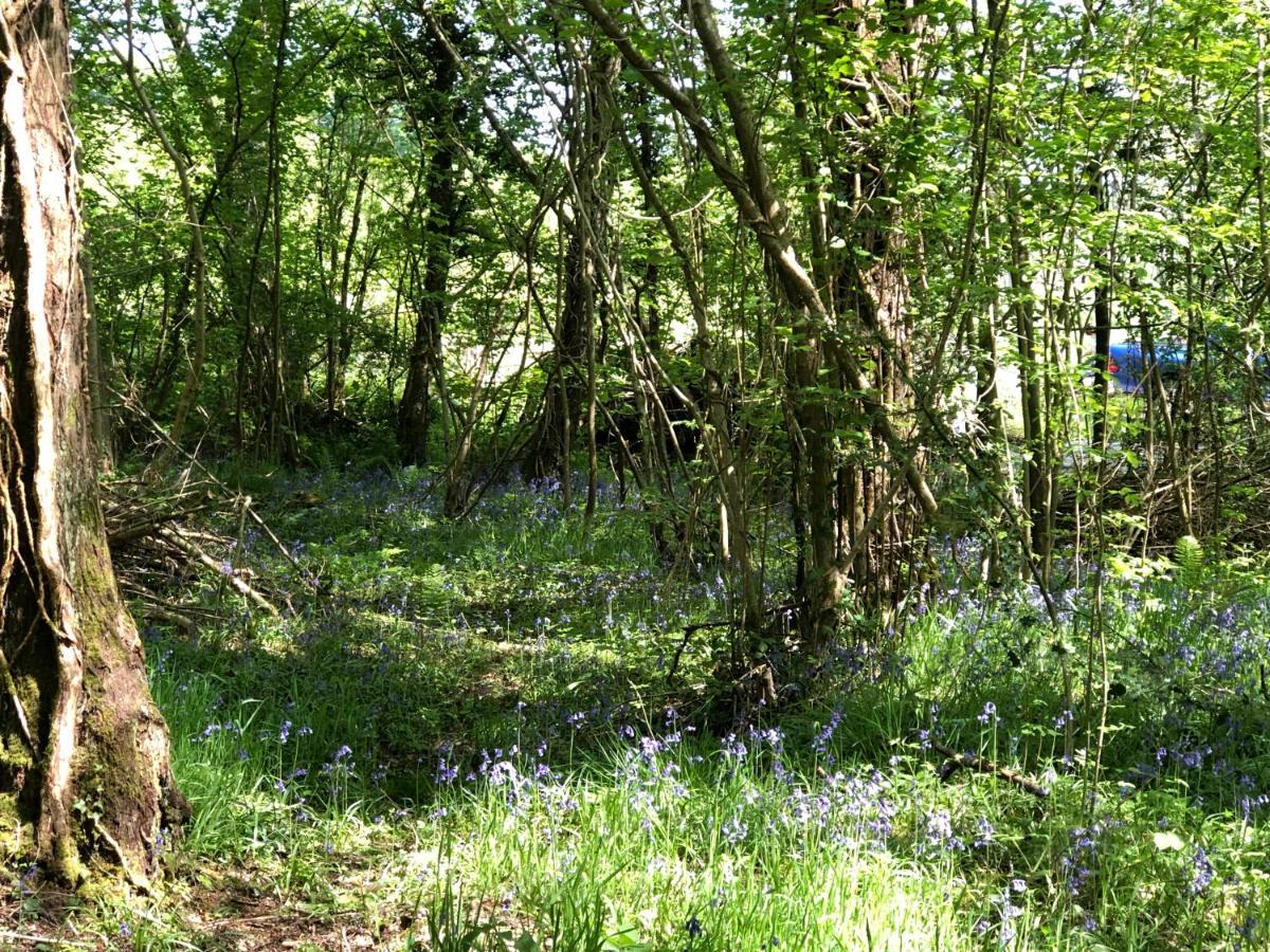 Coed Y Marchog Woodland Retreat Villa Hereford Luaran gambar