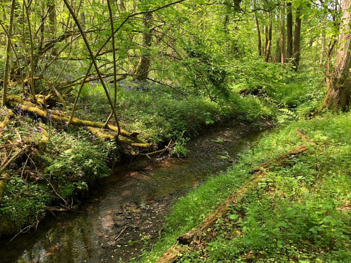 Coed Y Marchog Woodland Retreat Villa Hereford Luaran gambar