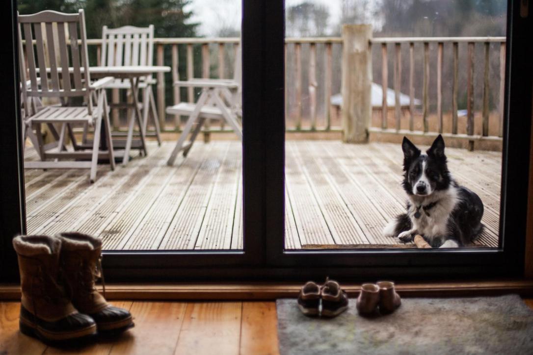 Coed Y Marchog Woodland Retreat Villa Hereford Luaran gambar